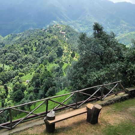 Hotel Woodsmoke Retreat Shimla Exterior foto