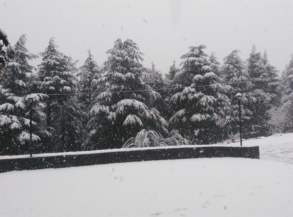 Hotel Woodsmoke Retreat Shimla Exterior foto